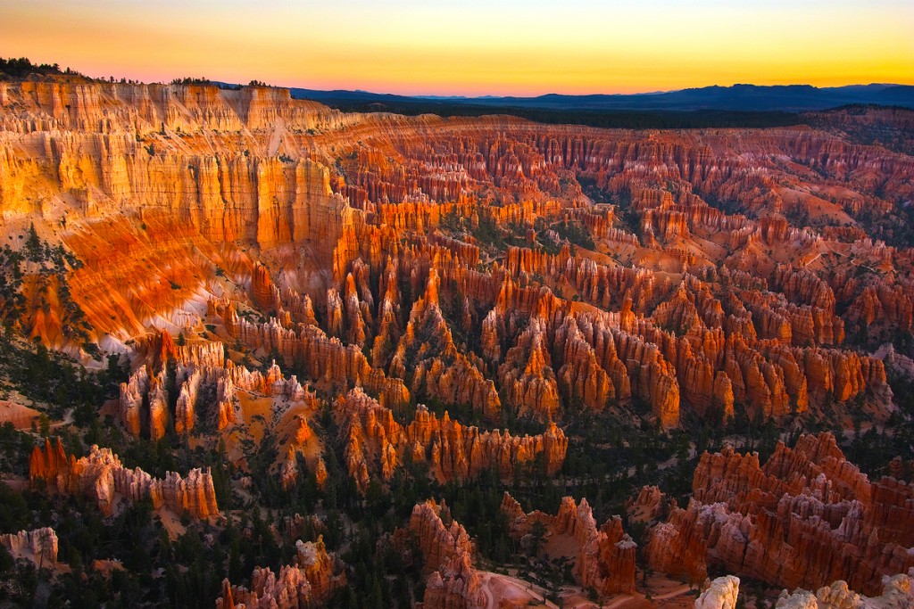 Source: http://www.reddit.com/r/EarthPorn/comments/1onfon/sea_of_hoodoos_at_bryce_canyon_1200x800/  